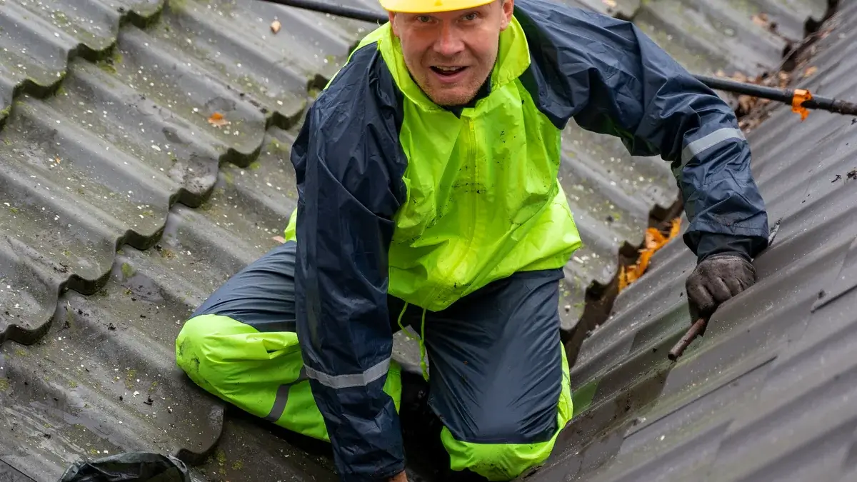 Roof Cleaning